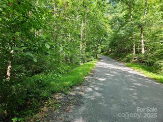 0 Sandpiper Avenue 163, Lake Lure, NC 28746