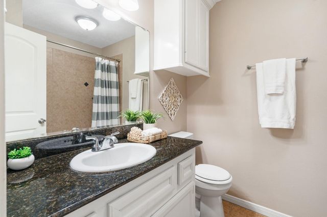 10668 Royal Magnolia Drive, Conroe, TX 77303