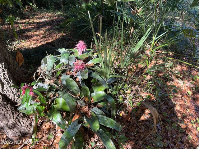 6116 TROUT Street, Melrose, FL 32666