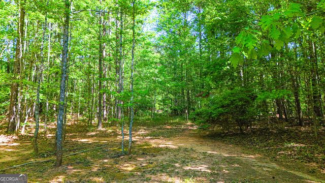 485 Natures Trail, Forsyth, GA 31029
