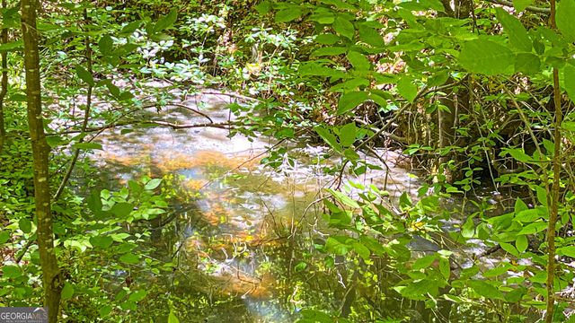 485 Natures Trail, Forsyth, GA 31029