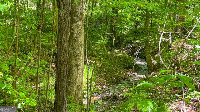 485 Natures Trail, Forsyth, GA 31029