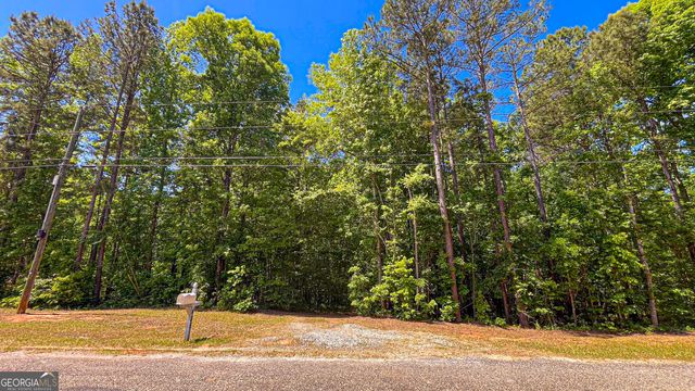 485 Natures Trail, Forsyth, GA 31029