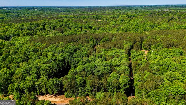 485 Natures Trail, Forsyth, GA 31029