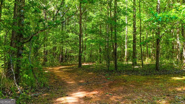 485 Natures Trail, Forsyth, GA 31029