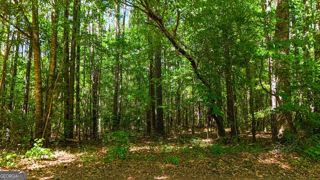 485 Natures Trail, Forsyth, GA 31029
