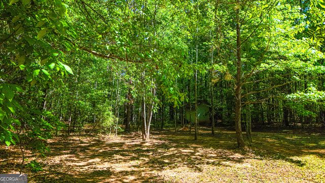 485 Natures Trail, Forsyth, GA 31029