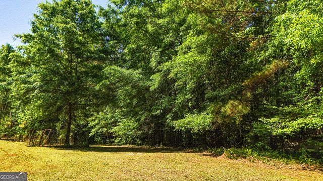 485 Natures Trail, Forsyth, GA 31029