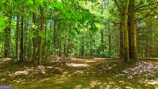 485 Natures Trail, Forsyth, GA 31029