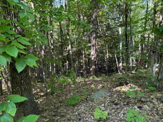 21 Circuit Road, Ossipee, NH 03864
