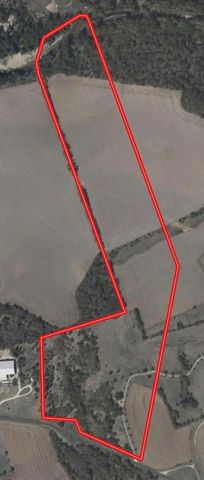 1589 County Road 101, Hutto, TX 78634