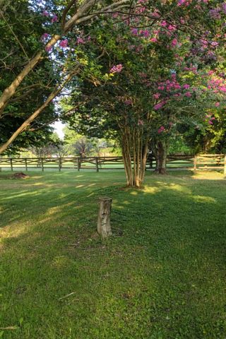 1175 Summertown Hwy, Hohenwald, TN 38462