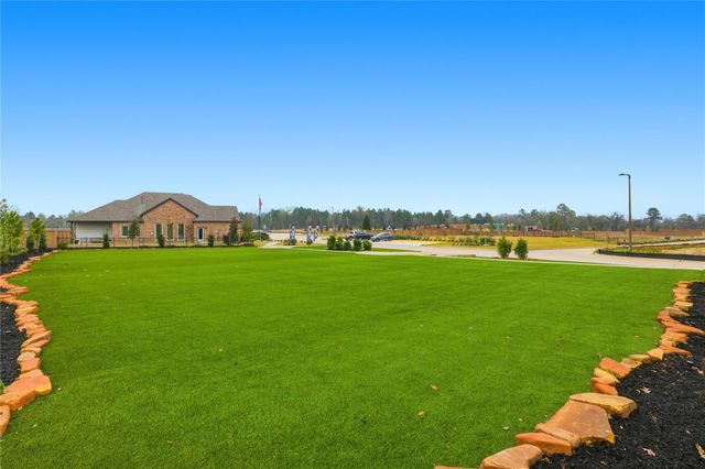 21703 Lavender Falls Drive, Magnolia, TX 77354
