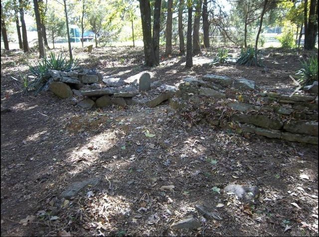 137 Kerr Road, Mt. Vernon, AR 72111