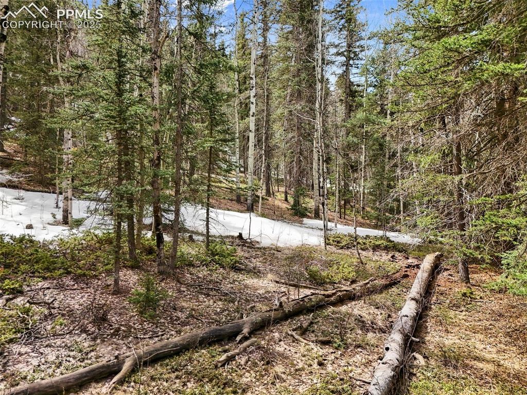 464 E Bison Creek Trail, Florissant, CO 80816 — exterior