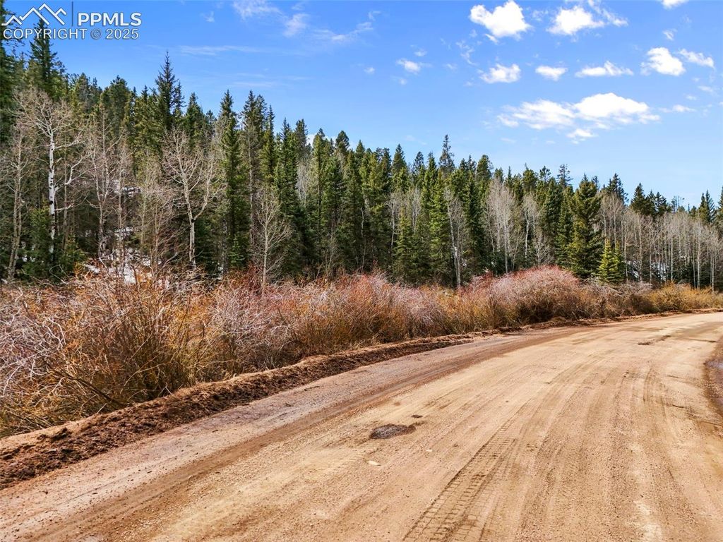 464 E Bison Creek Trail, Florissant, CO 80816 — photo 2
