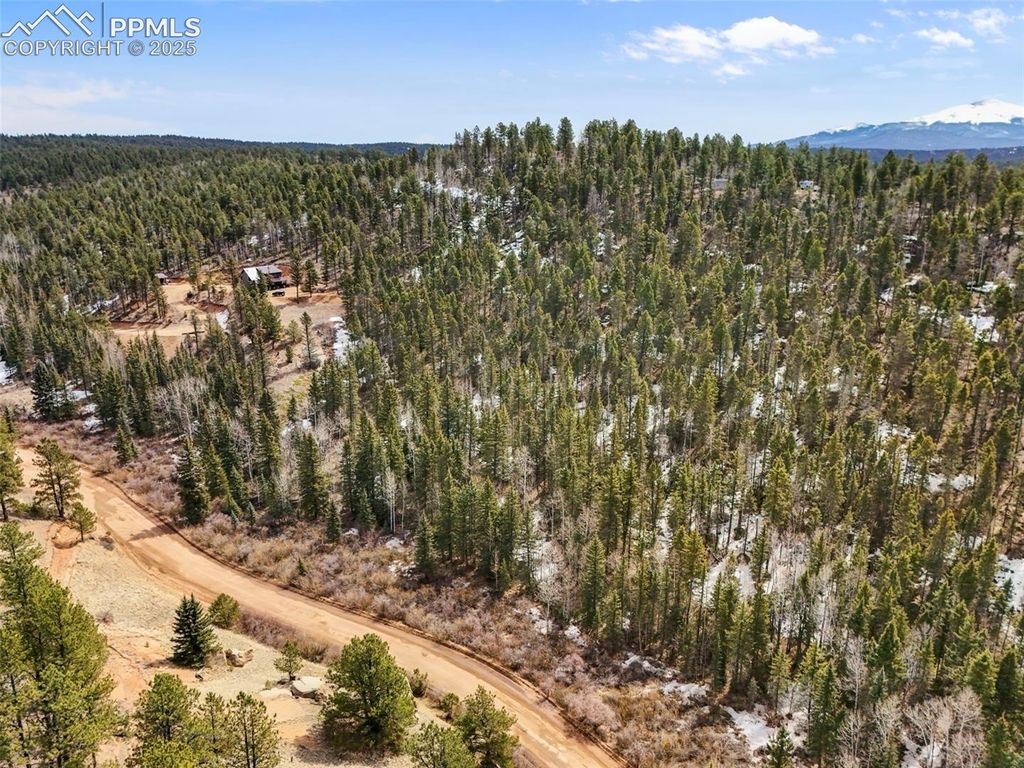 464 E Bison Creek Trail, Florissant, CO 80816 — photo 3