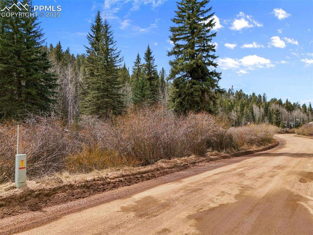 464 E Bison Creek Trail, Florissant, CO 80816 — photo 4