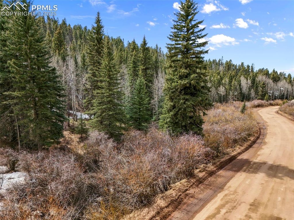 464 E Bison Creek Trail, Florissant, CO 80816 — photo 5