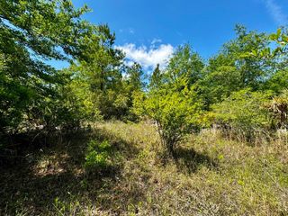 Vacant 62 Road, Lamont, FL 32336