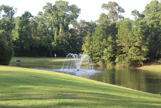 31 S Victoriana Circle, Spring, TX 77389