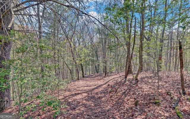 202 Dove Lane, Morganton, GA 30560
