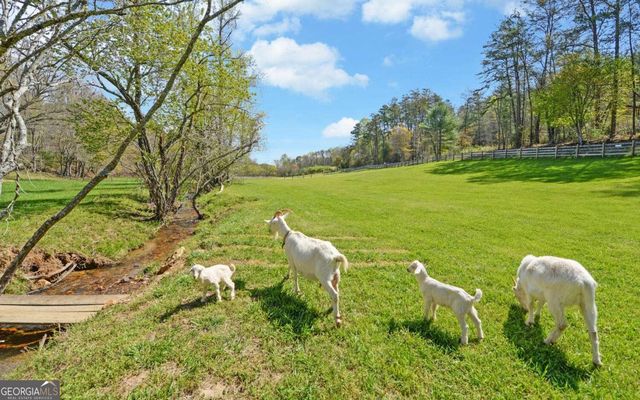 202 Dove Lane, Morganton, GA 30560