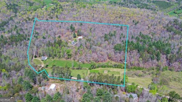 202 Dove Lane, Morganton, GA 30560