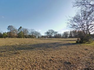 TBD FM 2088, Quitman, TX 75783