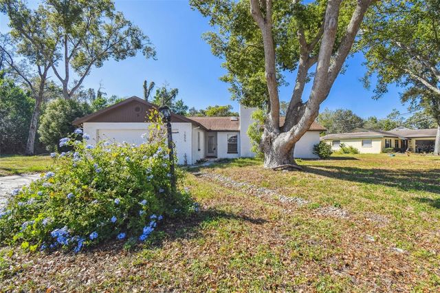 1555 NEWHOPE ROAD, Spring Hill, FL 34606