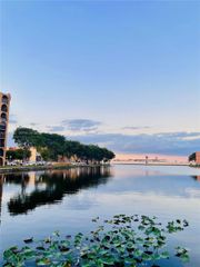 4721 NW 7th St 102-12, Miami, FL 33126