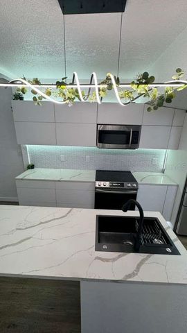 1118 E LINEBAUGH AVENUE, Tampa, FL 33612