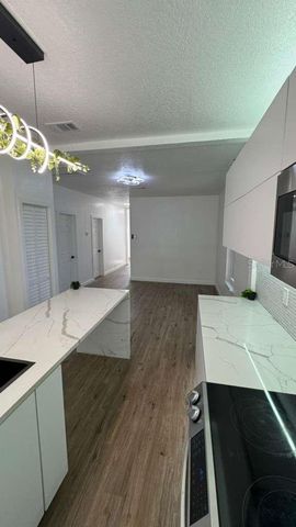 1118 E LINEBAUGH AVENUE, Tampa, FL 33612