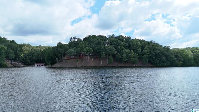 45 COUNTY ROAD 2402, Wedowee, AL 36278