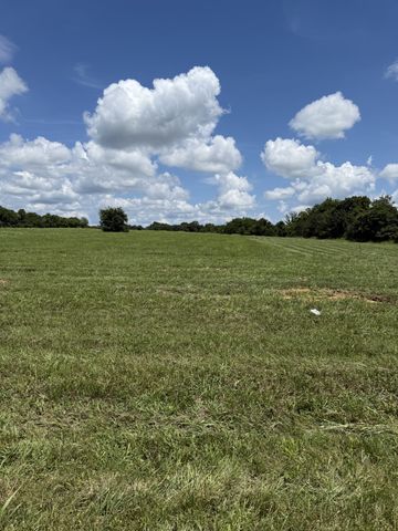 0 Nashville Hwy, Chapel Hill, TN 37034