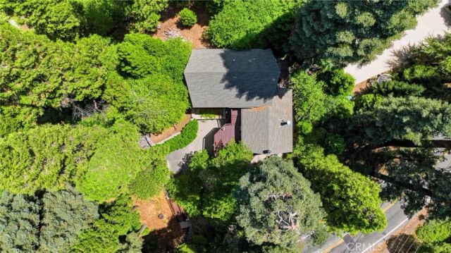 745 Kuffel Canyon, Lake Arrowhead, CA 92352