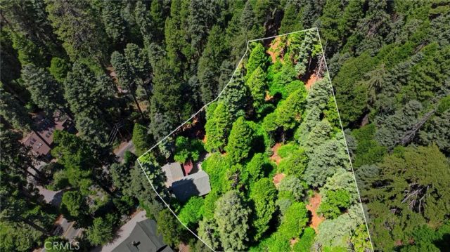 745 Kuffel Canyon, Lake Arrowhead, CA 92352