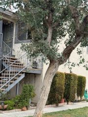 10726 Oak Street, Los Alamitos, CA 90720