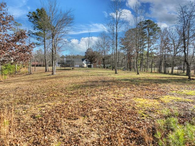 2520 Carlan Road, Fairmount, GA 30139