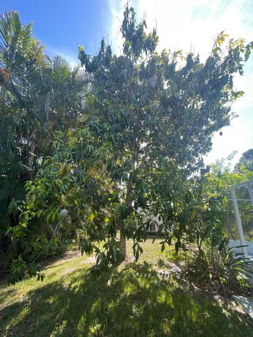1150 SW Jumper Street, Port St. Lucie, Port St Lucie, FL 34983