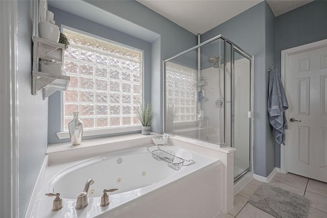 21506 Avalon Queen Drive, Spring, TX 77379