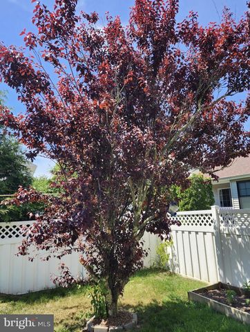 502 SUPERIOR RD, Egg Harbor Township, NJ 08234