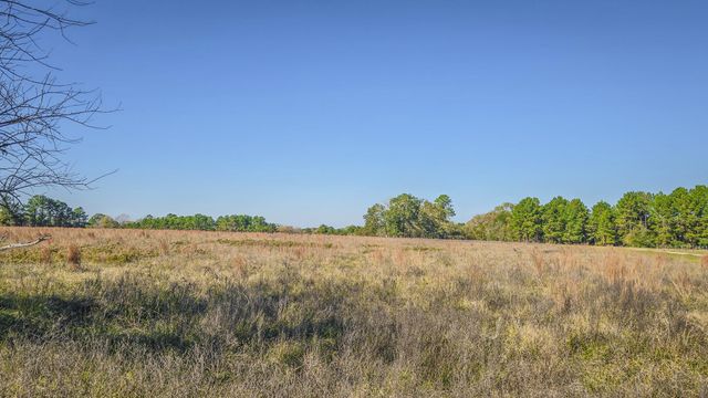 TBD LOT 1 & 2 Podraza Road, New Waverly, TX 77358