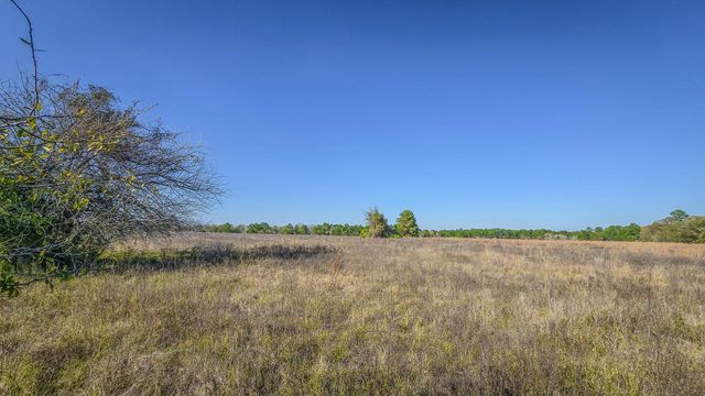 TBD LOT 1 & 2 Podraza Road, New Waverly, TX 77358
