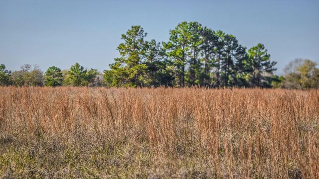 TBD LOT 1 & 2 Podraza Road, New Waverly, TX 77358