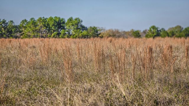 TBD LOT 1 & 2 Podraza Road, New Waverly, TX 77358