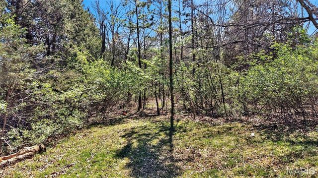 1400 Flora Del Drive, Fenton, MO 63026