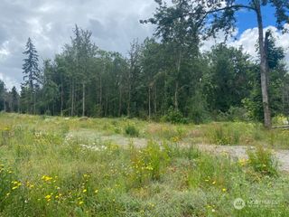 35311 48th Avenue S, Roy, WA 98580