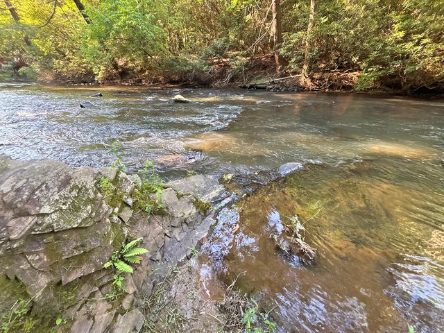 190 S Whitepath Circle S, Ellijay, GA 30540
