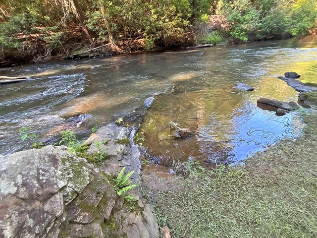 190 S Whitepath Circle S, Ellijay, GA 30540